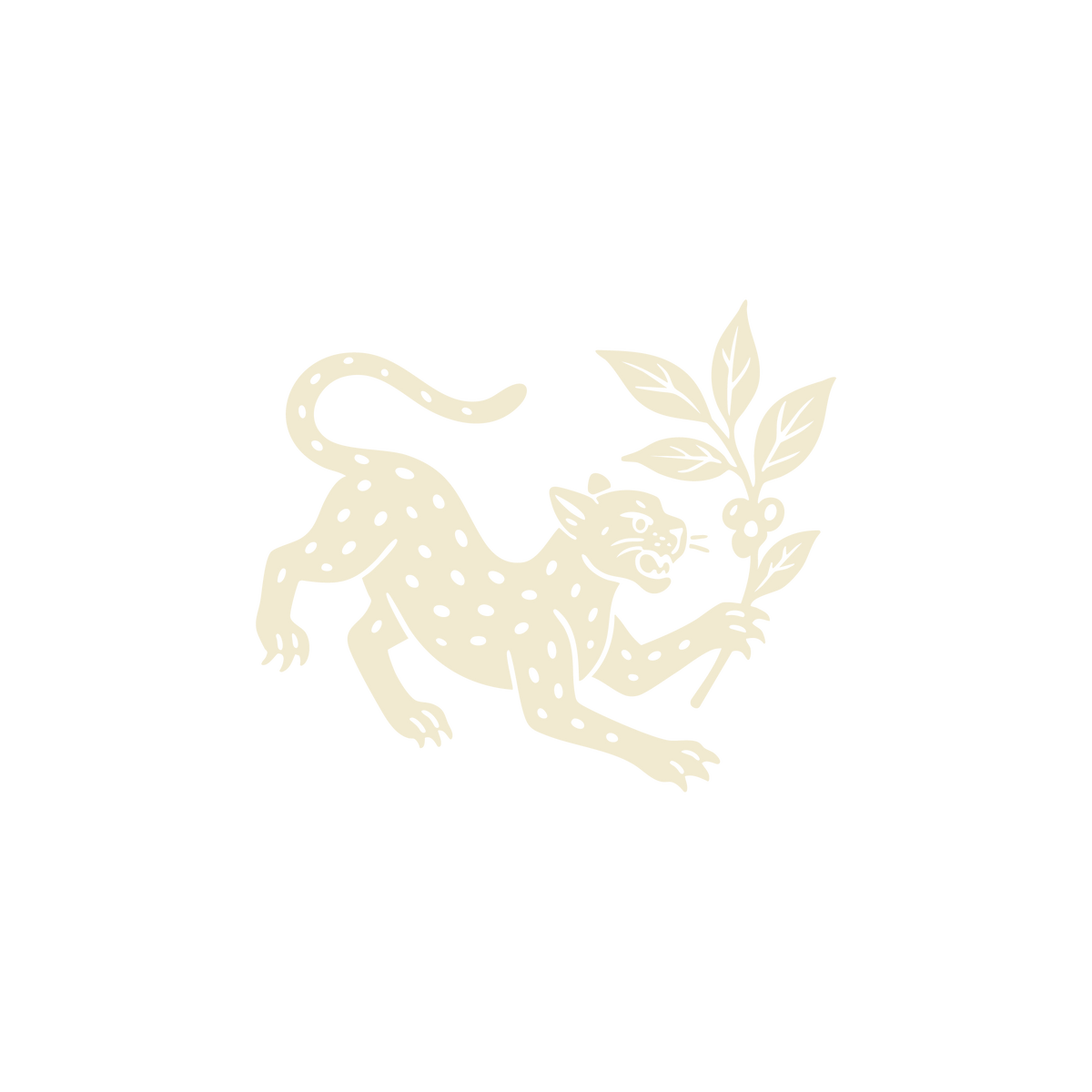 Jaguar - Café Lavado